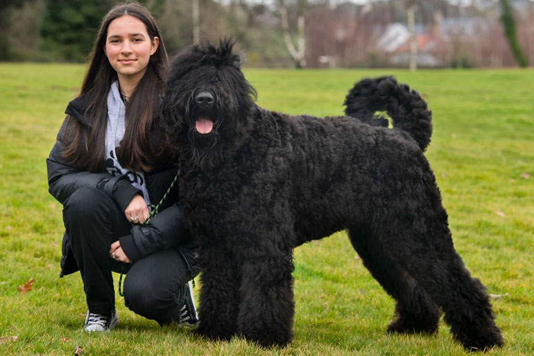 Black Russian Terrier