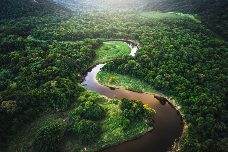 The Amazon River