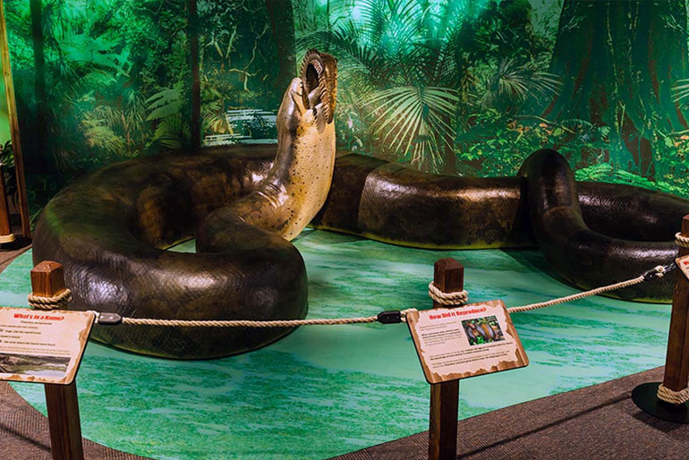 Titanoboa